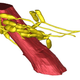 Reconstrucción 3D de un músculo aductor de la mandíbula (rojo) rodeado por una red de células fúngicas (amarillo). (Imagen: Hughes Laboratory / Penn State)